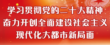 学习贯彻党的二十大精神  奋力开创全面建设社会主义现代化大都市新局面